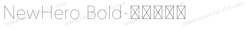 NewHero Bold字体转换